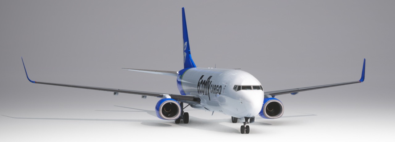 Boeing 737-800 CARGO Ecofly